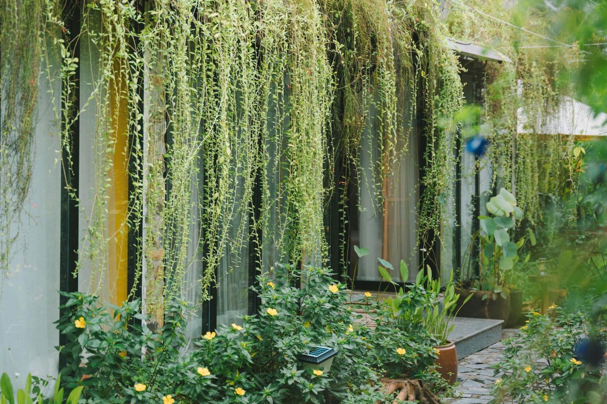 Ben Do Xua Homestay & Coffee Cai Rang Dış mekan fotoğraf