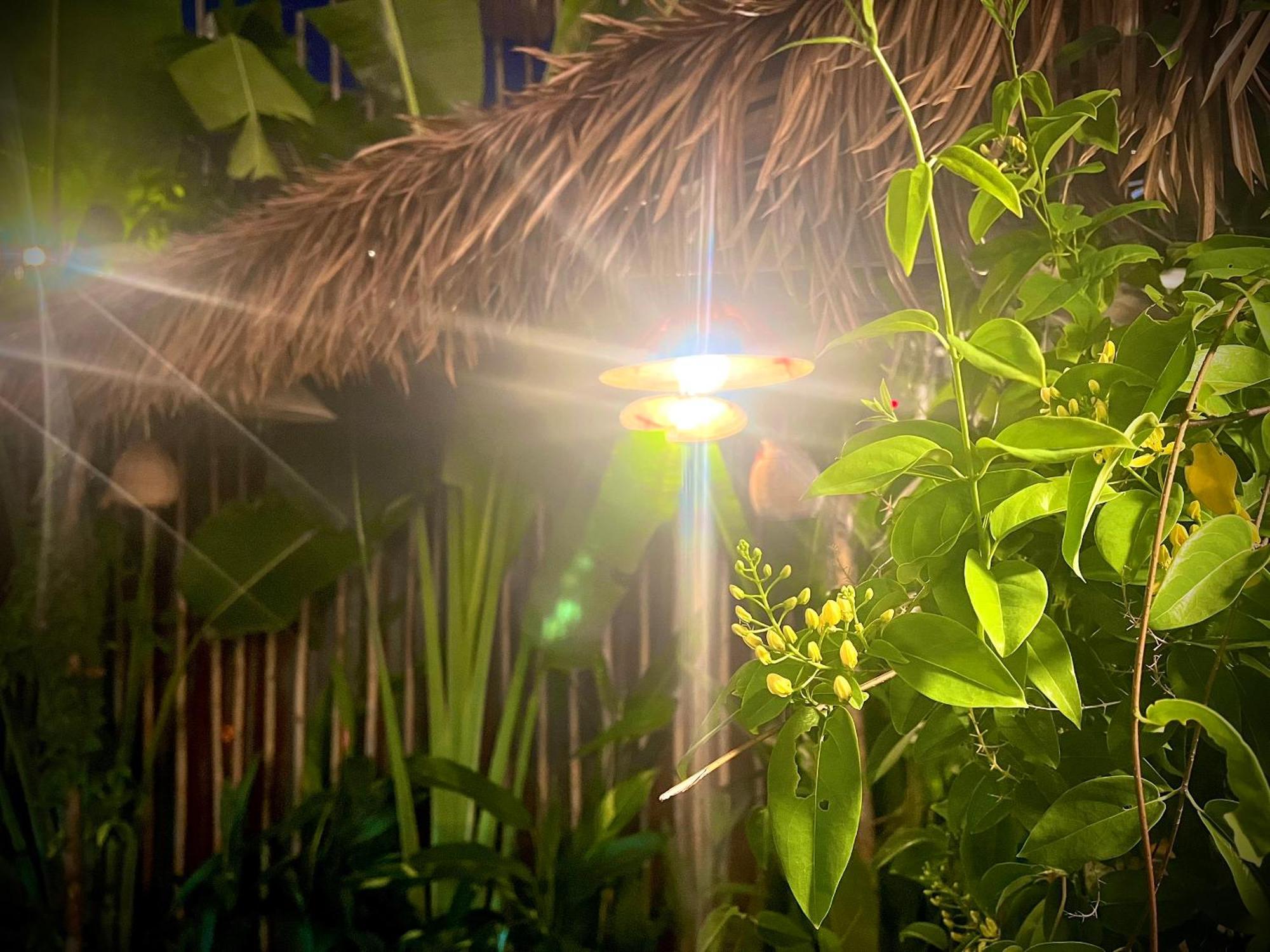 Ben Do Xua Homestay & Coffee Cai Rang Dış mekan fotoğraf