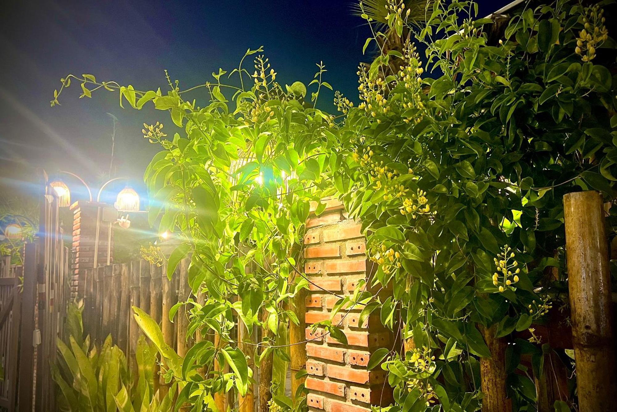 Ben Do Xua Homestay & Coffee Cai Rang Dış mekan fotoğraf