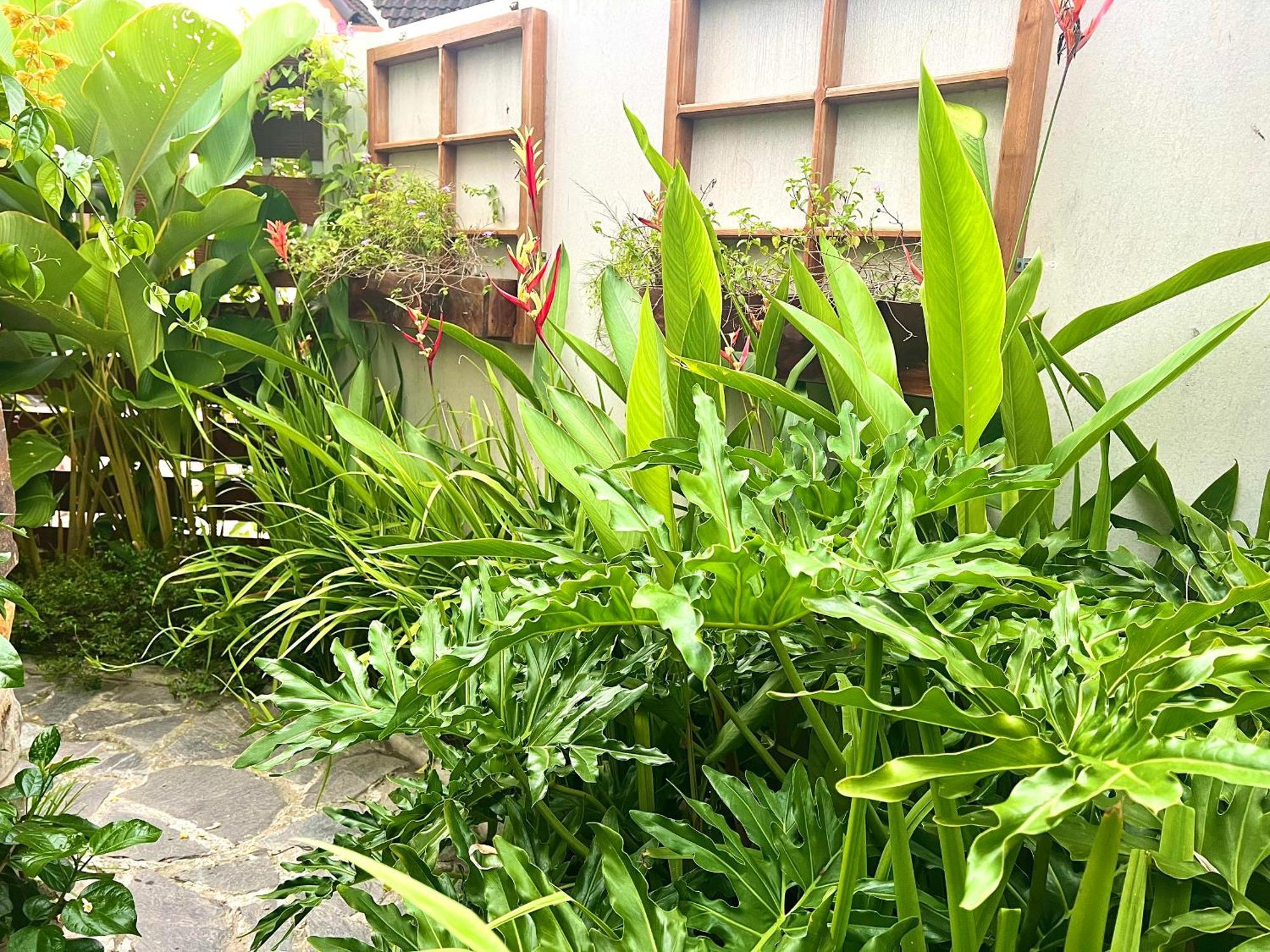 Ben Do Xua Homestay & Coffee Cai Rang Dış mekan fotoğraf